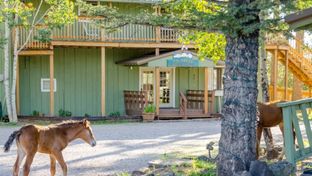 La Junta Guest Ranch