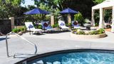 The Palm Pool