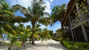 Captain Morgan's Retreat
