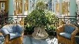 Merton Hotel Lobby