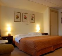 Crown Inn Room