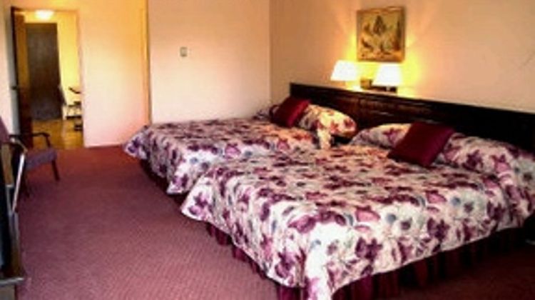 Robin Hood Motel Room