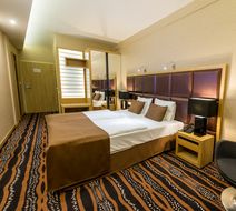Aquaticum Termal and Wellness Hotel Room