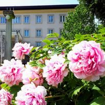Vila Bled