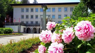 Vila Bled
