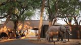 Belmond Eagle Island Lodge Exterior