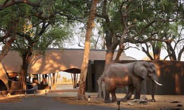Belmond Eagle Island Lodge