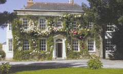 Rose-In-Vale