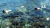 Matamanoa Island Resort Recreation