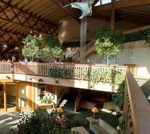 Trailborn Jackson Hole, Outdoor Coll Lobby