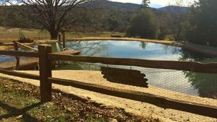 Shadow Mountain Ranch