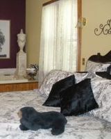 Rockwell Falls Inn