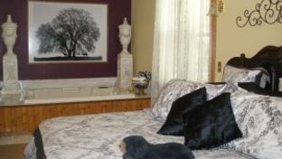 Rockwell Falls Inn