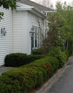 Phoenix Inn Resort