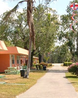 Drift Hotel