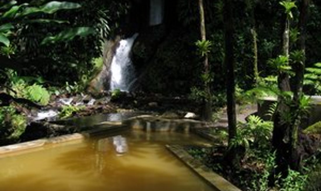 Papillote Wilderness Retreat Pool