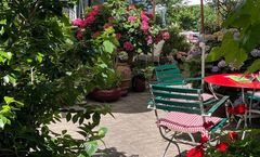 Mozart Hotel