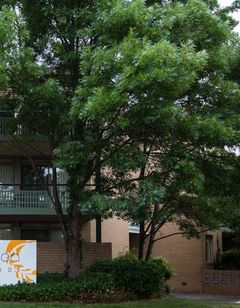 Kingston Terrace Serviced Apartments