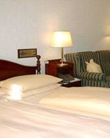Hotel Elefant
