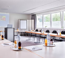 Hotel Alpenrose Meeting