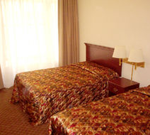Adelaide Hostel Room