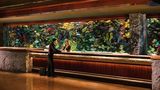 Hard Rock Hotel & Casino Las Vegas Lobby