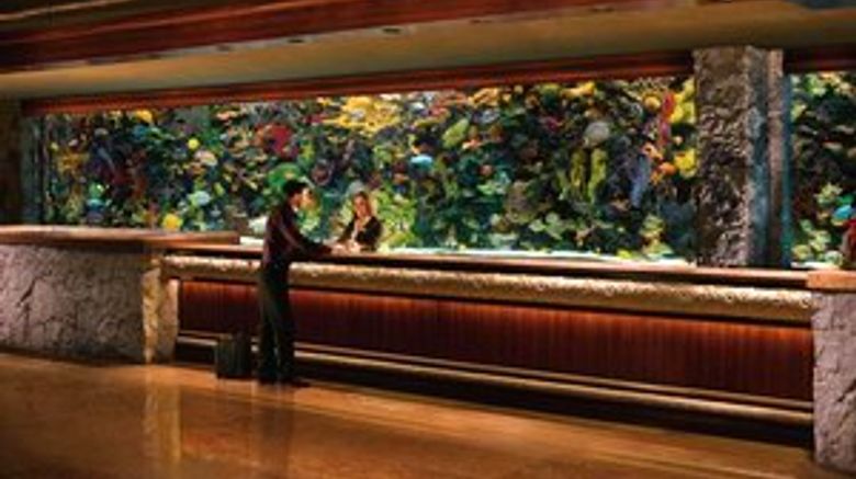 <b>Hard Rock Hotel & Casino Las Vegas Lobby</b> <b>Hard Rock Hotel & Casino Las Vegas Lobby</b>