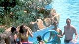 Venetur Margarita Pool