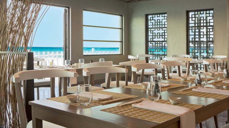 Oleo Cancun Playa Restaurant