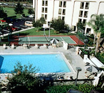 The Palms Hotel & Villas Pool