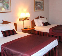 OYO Hotel Room