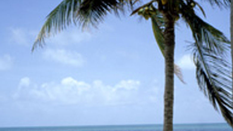 <b>Coco Plum Beach & Tennis Club Beach</b>