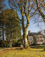 Fairyhill