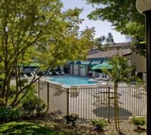 Track 281 Apartments Pool