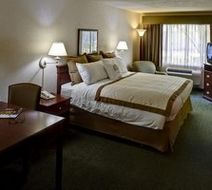 Track 281 Apartments Room