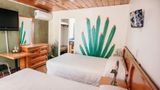 Las Palmas Room