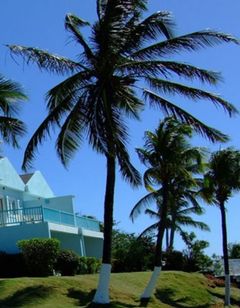 Timothy Beach Resort