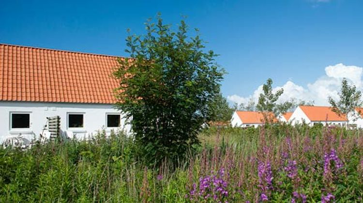 Feriecenter Skagen Strand Hulsig Exterior