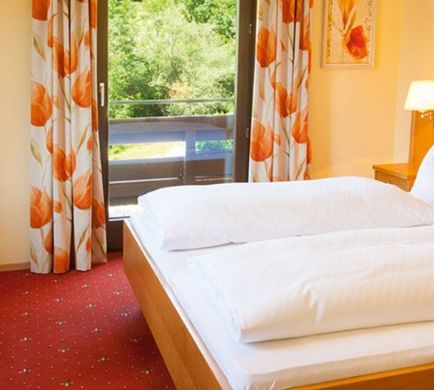 Hotel Seewinkel & Seeschlossl Room