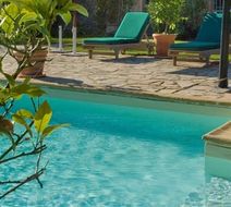 Chateau des Briottieres Pool