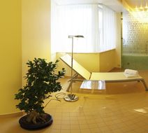 Relexa Waldhotel Schatten Spa