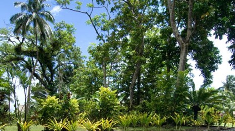 Qamea Resort & Spa Pool