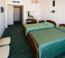 Marion Hotel Room