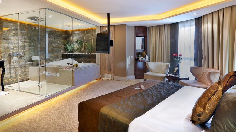 <b>Zurich Hotel Suite</b>