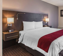 Hotel le Principal Room