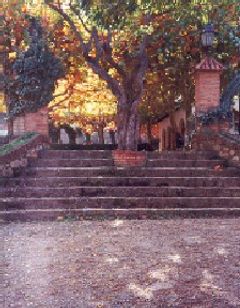 Hotel Monestir