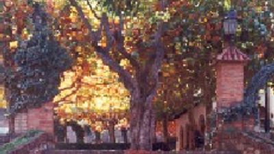 Hotel Monestir