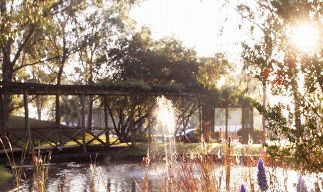 Hunter Valley Resort Exterior