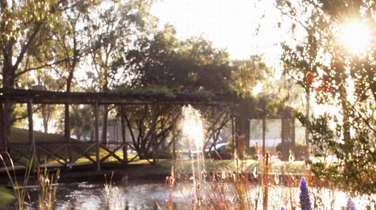 Hunter Valley Resort Exterior
