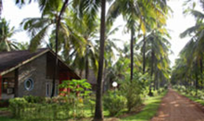 Summer Sands Beach Resort Hotel Exterior
